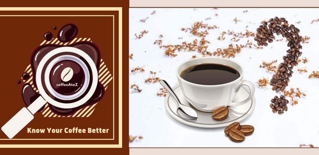 Do Coffee Grounds Kill Ants?