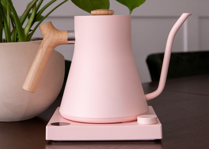 Fellow Stagg EKG Electric gooseneck kettle