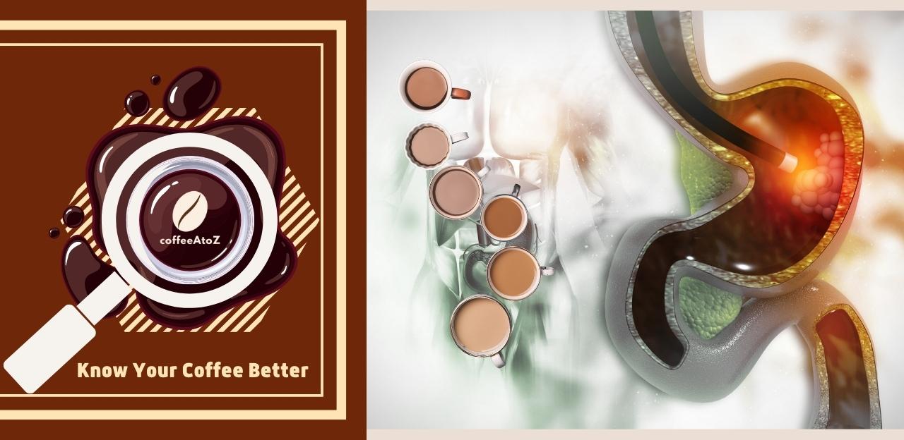 Best Coffee For Sensitive Stomach Ending Your Quests And Confusions