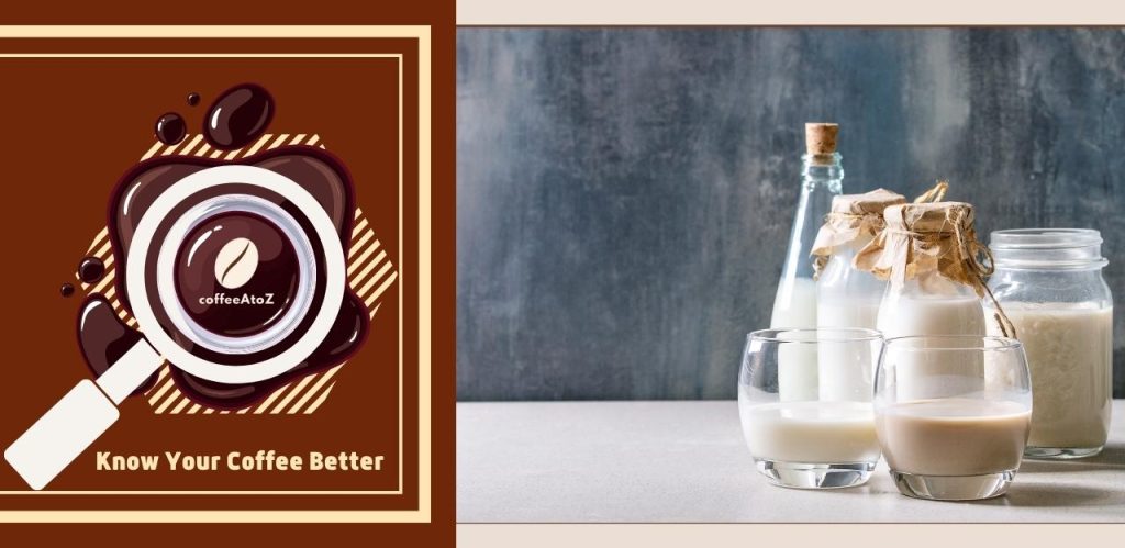 What Type Of Milk Is Best For Frothing?