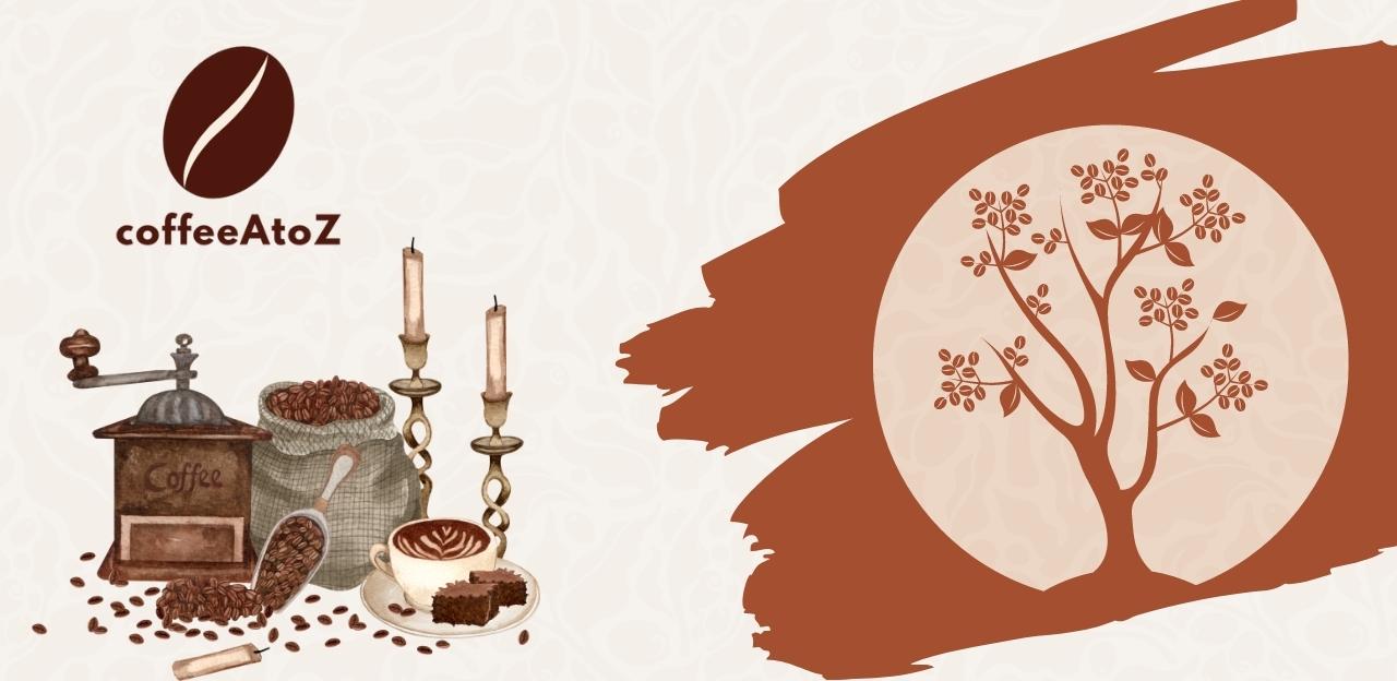 Jura E8 VS. Breville Oracle Touch 9 Major Differences You Must Know