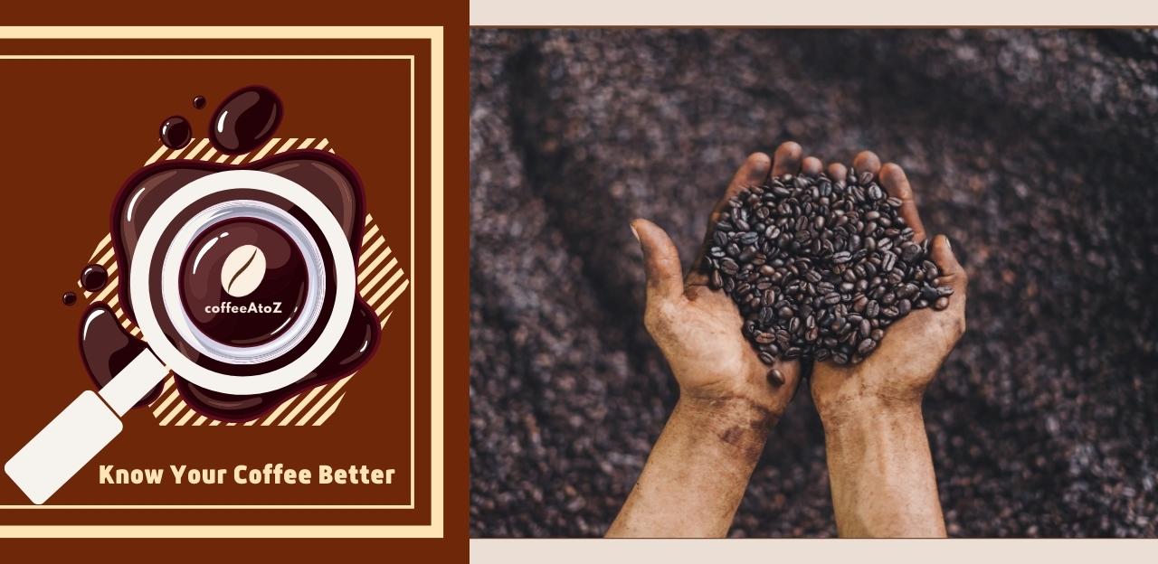 Image showcasing What Is Espresso Roast? Discover It's Secrets in 2025