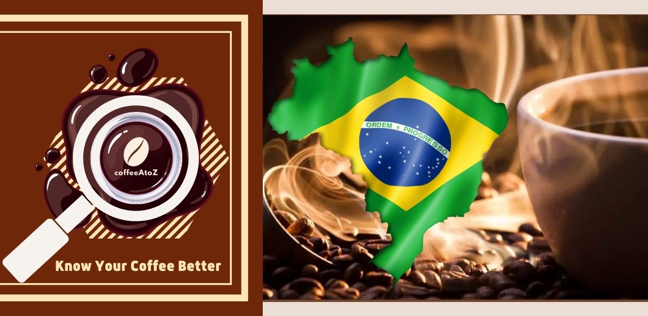 Brazilian Coffee And Everything To Know About