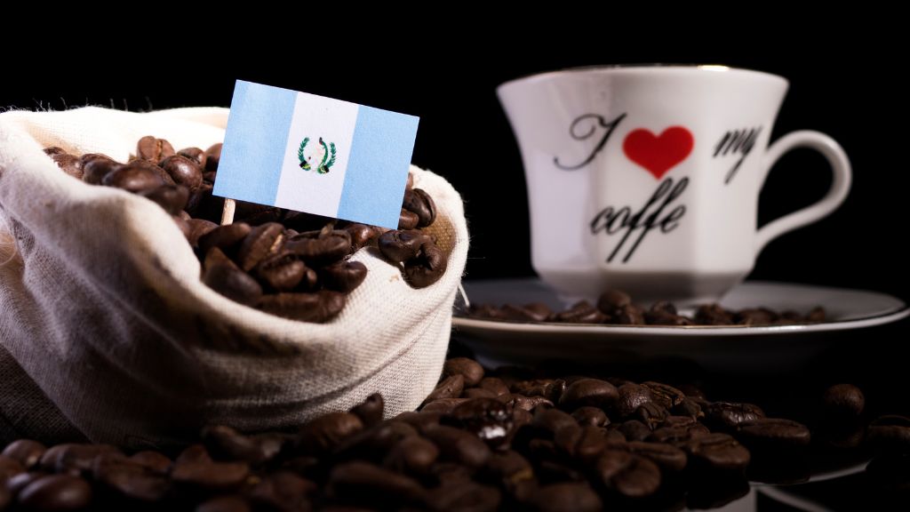 guatemalan coffee