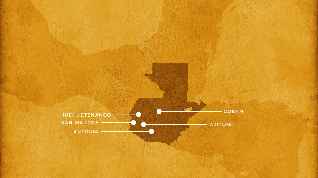 coffee from guatemala