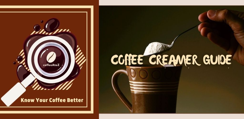 The Ultimate Coffee Creamer Guide: Time To Elevate Your Morning Joe!