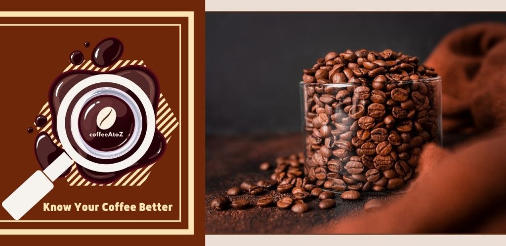 Best Medium Roasted coffee beans