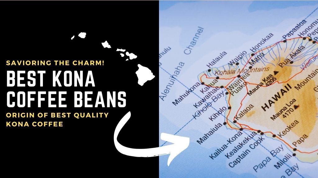 Best Kona Coffee Brands (And Scams To Avoid) - Home Grounds