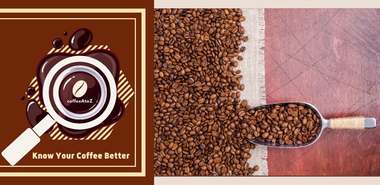 Finding the Best Light Roast Coffee Beans - From Green to Gold!