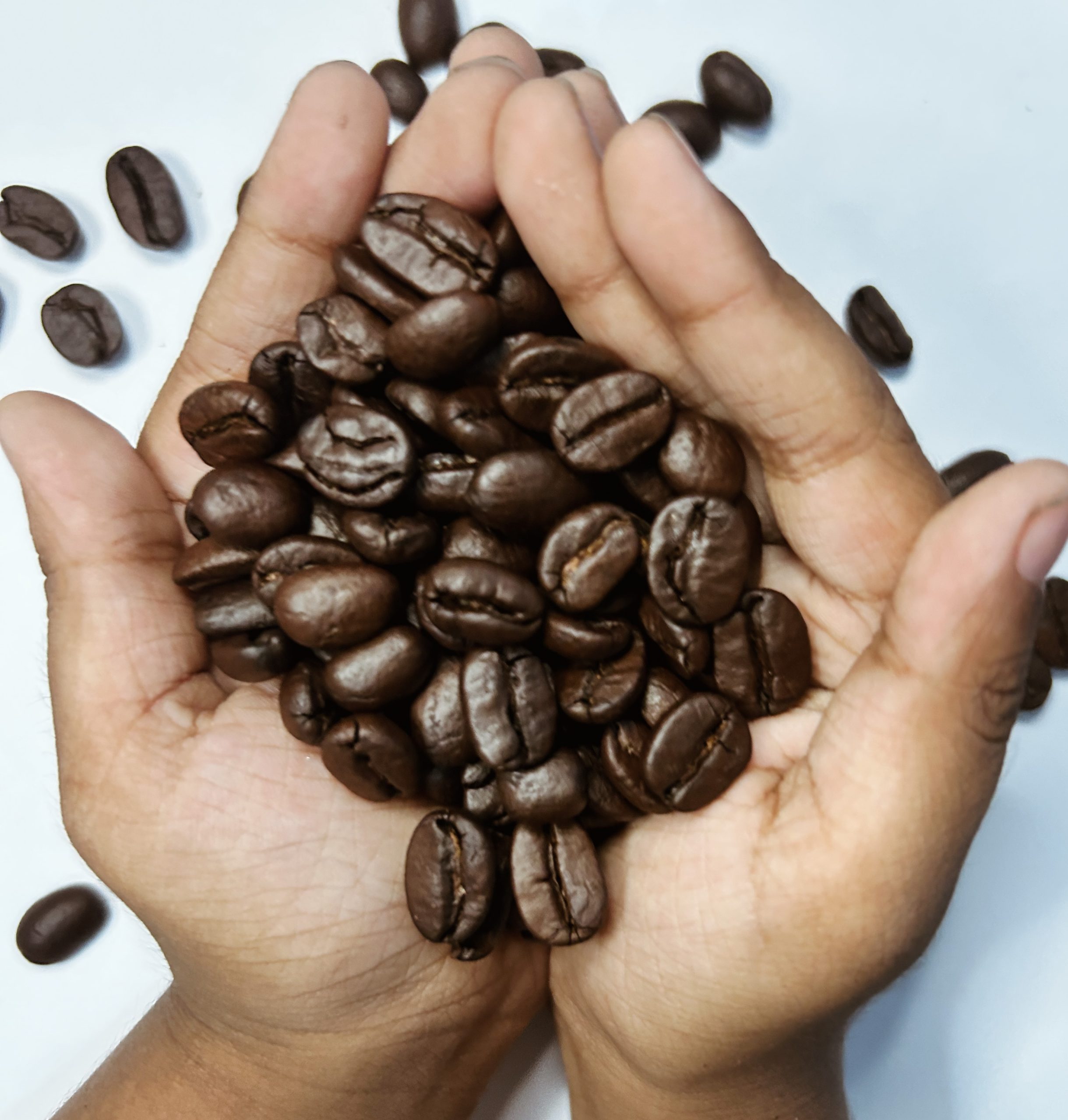 Coffee Beans for CoffeeAtoZ's Team